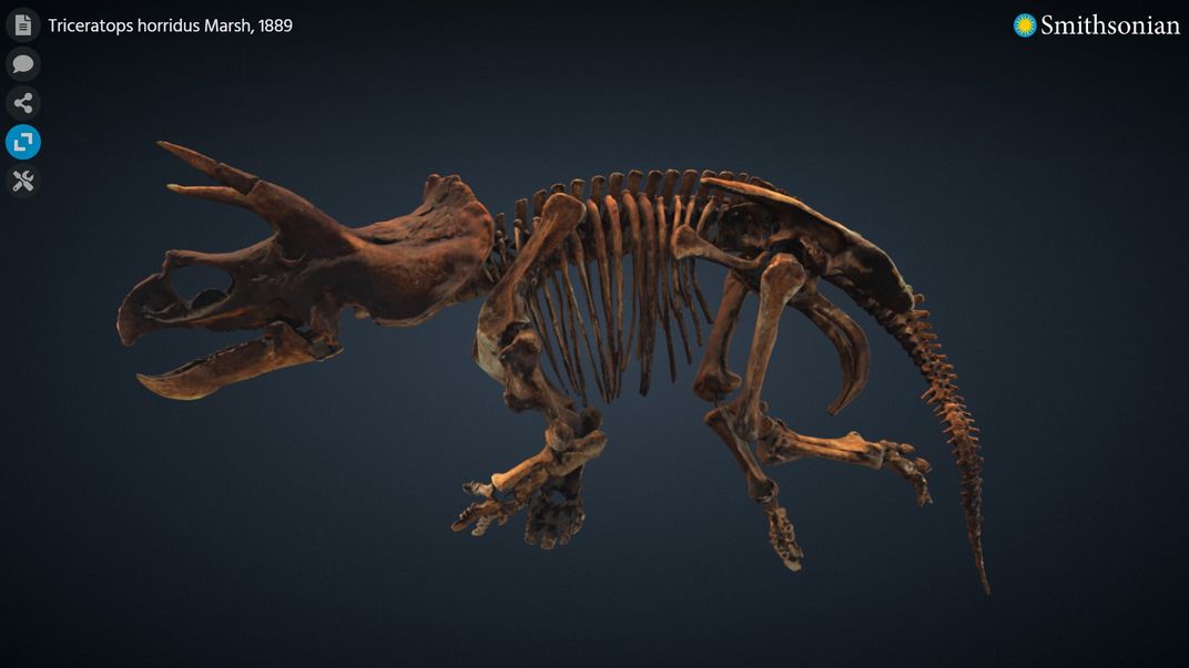 3D rendering of a triceratops skeleton on a dark background.
